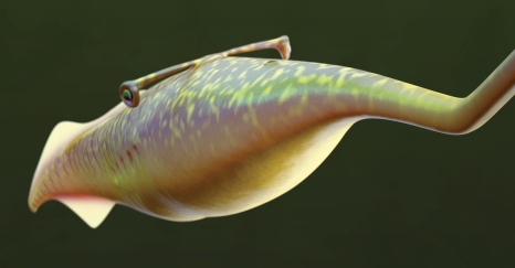 Close-up Tully Monster (image for press release)